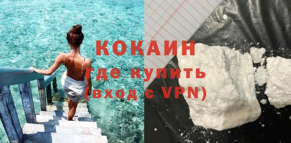 крисы Бородино
