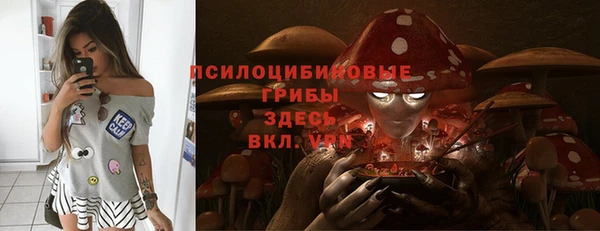 спиды Бронницы