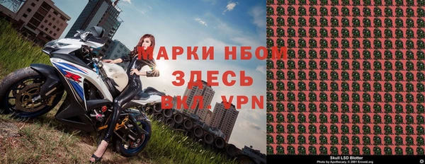 крисы Бородино