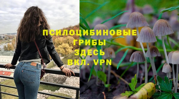 спиды Бронницы