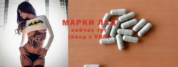 крисы Бородино