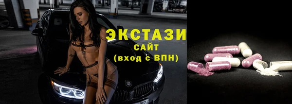 крисы Бородино