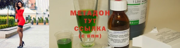 крисы Бородино