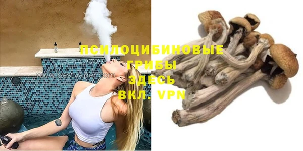 спиды Бронницы