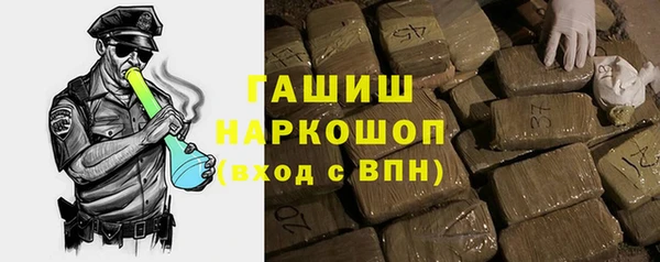 крисы Бородино