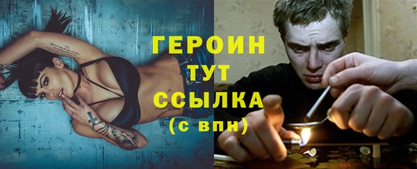 крисы Бородино