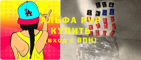 крисы Бородино