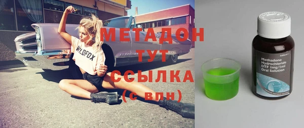 крисы Бородино